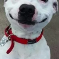 Grupo de Whatsapp: AMIGOS 3.0