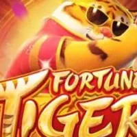 Grupo de Whatsapp: Plataformas e horários de pagamentos