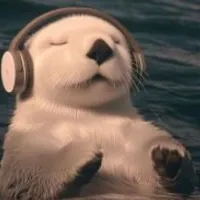 Grupo de Whatsapp: ¥π§= /Resenha Sem Fim/¥π§=