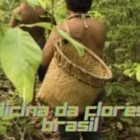 Grupo de WhatsApp: MEDICINA DA FLORESTA