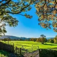 Grupo de Whatsapp: VENDAS DE FAZENDAS MT