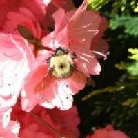 Grupo de Whatsapp: Versículos