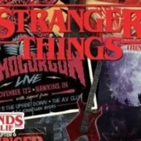 Grupo de Whatsapp: Stranger things