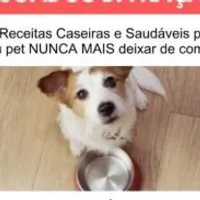 Grupo de Whatsapp: Receitas para alimentação saudável dos seus Pets