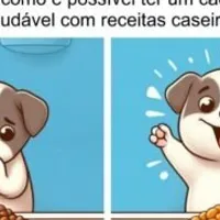 Grupo de WhatsApp: Receita para pets