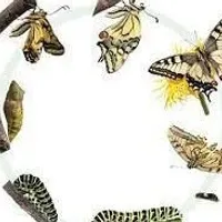 βπβπ»ππΓβππ ππΌππΈππβπ½πππΌ βπβππΌ πΈπππΈ βπβππΌ β’ πΎπΈππΈ β π»π½