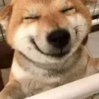 Grupo de Whatsapp: VÍDEOS ENGRAÇADOS