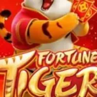 Grupo de Whatsapp: Plataformas pagantes