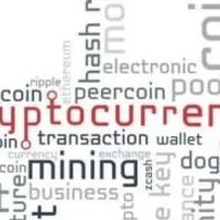 Grupo de WhatsApp: Word Crypto