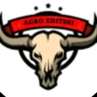 Grupo de Whatsapp: frevo do forró