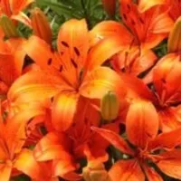 Grupo de Whatsapp: Boas-vindas! Interaja conosco.