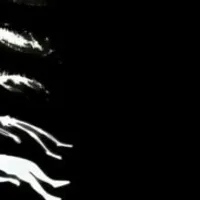 Grupo de Whatsapp: Universal Artists