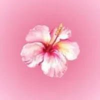 Grupo de WhatsApp: Grupo para meninas