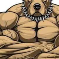 Grupo de WhatsApp: ACADEMIA ONLINE PITBULL