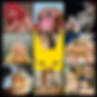 Grupo de Telegram: Seleção Restrita 🔞