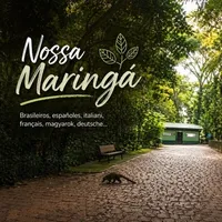 Grupo de Telegram: Nossa Maringá