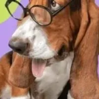 Grupo de WhatsApp: 50 Receitas Com Alimentos Baratos Para Pets!