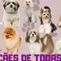 Grupo de WhatsApp: Receitas Saudáveis para Pets – 30 Delícias Naturais!