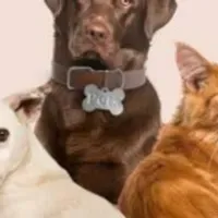 Grupo de WhatsApp: GOOD PETS