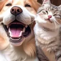 Grupo de WhatsApp: Seu pet bem