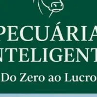 Grupo de WhatsApp: Pecuária Inteligente