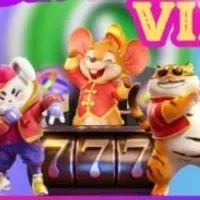Grupo de WhatsApp: Grupão slots