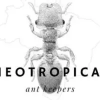 Grupo de WhatsApp: Neotropical Ant Keepers 🇧🇷