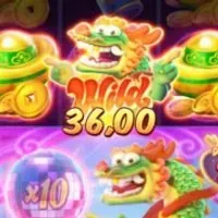 Grupo de WhatsApp: Grupo  de slots, junto nós somos mais fortes