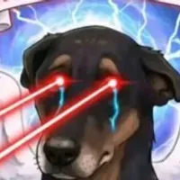 Grupo de WhatsApp: Web Dogs