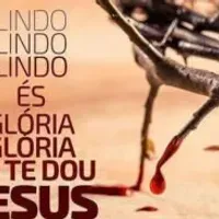 Grupo de WhatsApp: 𝙲𝚁𝙸𝚂𝚃𝙾 𝚅𝙴𝙼┕prεpαrα-†ε┙