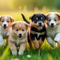 Grupo de WhatsApp: 30 RECEITAS SAUDÁVEIS!