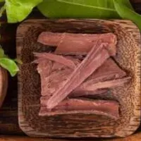 Grupo de WhatsApp: Medicinas da Floresta