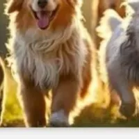 Grupo de WhatsApp: PAIS E MÃES DE PETS