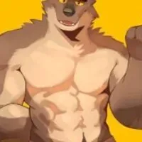 Grupo de WhatsApp: Bara Amino