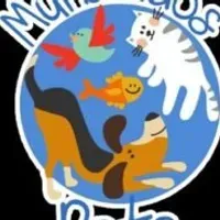 Grupo de WhatsApp: Mundo dos pets