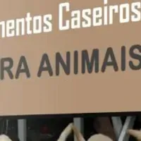 Grupo de WhatsApp: Amor em Cada tigela