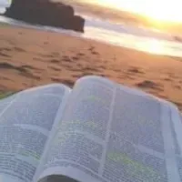 Grupo de WhatsApp: Frases diária @ogio.1