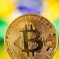 Grupo de WhatsApp: Crypto Brasil