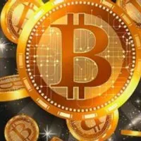 Grupo de WhatsApp: Notcoin Beneficios de inversiones