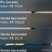 Grupo de WhatsApp: QG ELITE – @eusoucarlosnefi
