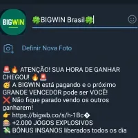 Grupo de Telegram: Bigwin Brasil