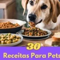 Grupo de WhatsApp: Receitas para pets