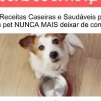 Grupo de WhatsApp: Receitas para alimentação saudável dos seus Pets