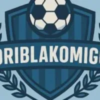 Grupo de WhatsApp: ️ ¹DriblaKomigo ️ Brasileirão
