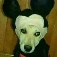Grupo de WhatsApp: Zona