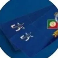 Grupo de WhatsApp: BILHETERIA SANGUE AZUL ️