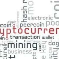 Grupo de WhatsApp: Word Crypto