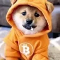 Grupo de WhatsApp: Era Crypto