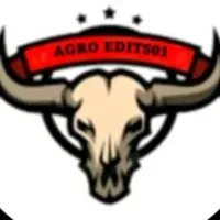 Grupo de WhatsApp: frevo do forró