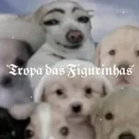 Grupo de WhatsApp: ´ཀ`𝕿𝖗𝖔𝖕𝖆 𝖉𝖆𝖘 𝕱𝖎𝖌𝖚𝖗𝖎𝖓𝖍𝖆𝖘´ཀ`